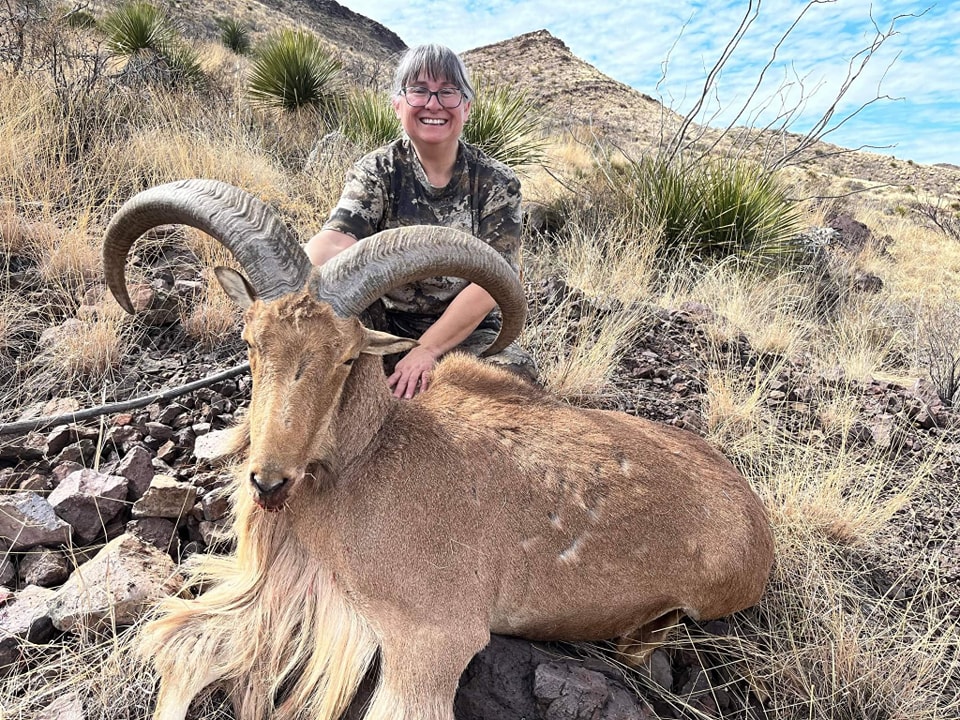 Hunter smiling behind an aoudad ram high on a ridge, desert mountains and blue sky beyond