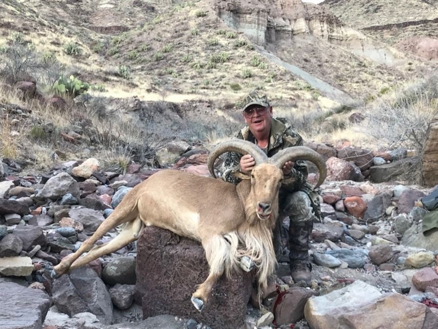 Hunter behind an aoudad ram among boulders in a canyon bottom