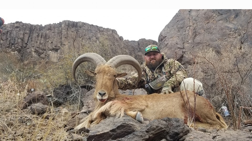 Hunter behind an aoudad ram below dark rimrock cliffs