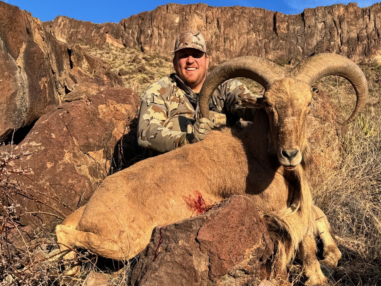 Hunter kneeling behind a heavy-horned aoudad ram below rimrock cliffs in West Texas